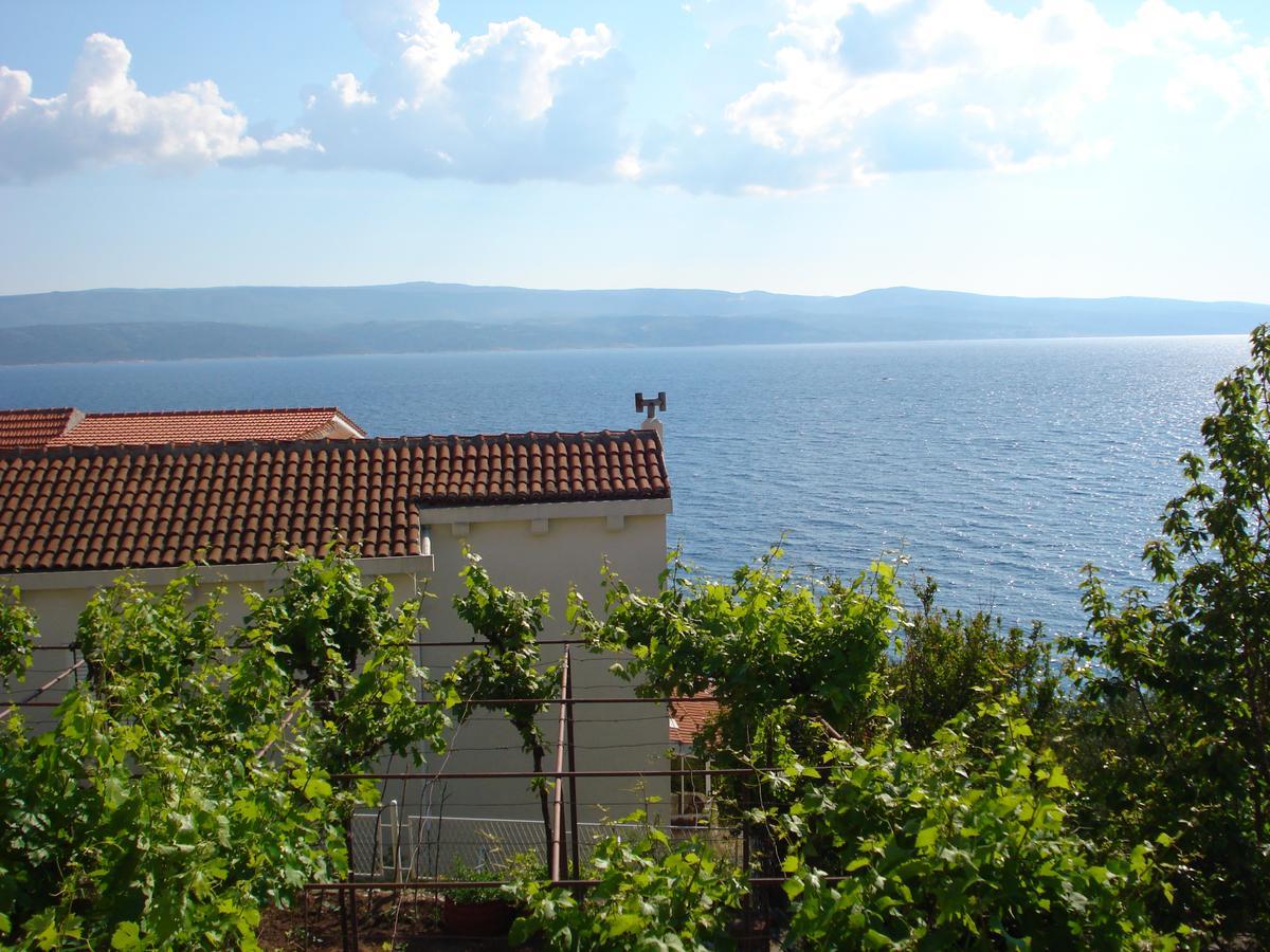 Apartmani Stanic Rosa Stanici Екстер'єр фото
